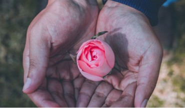 Constitutional Awareness Volunteer Training